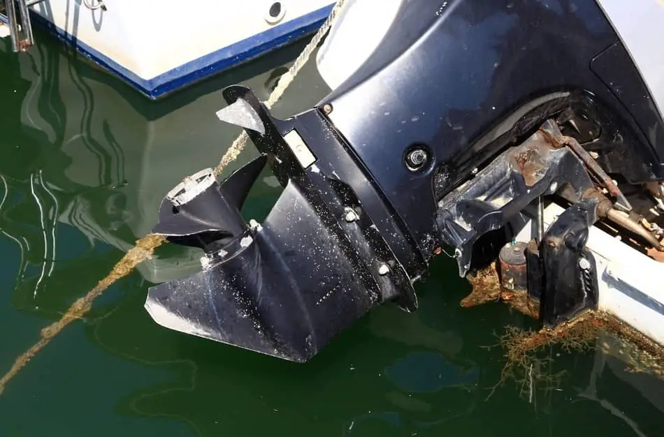 Using a boat in salt & freshwater Is it fine? Boating Valley